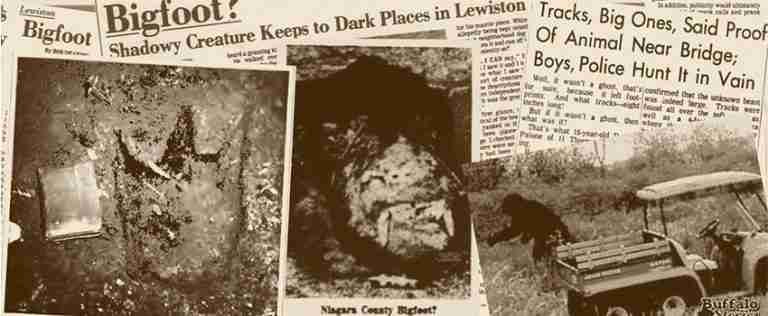 The History and Mystery of Bigfoot: A Timeline of Reported Encounters