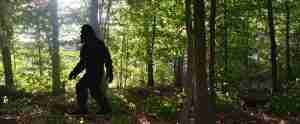 Bigfoot in Merchandise: A Look at Products Featuring the Mythical Creature