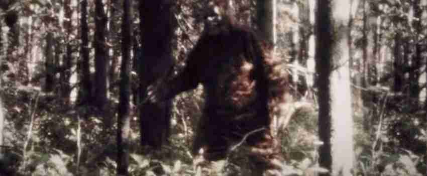 From Movies to Art: The Many Faces of Bigfoot in Popular Culture