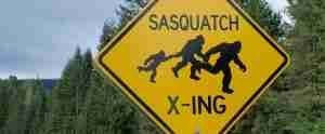 Bigfoot in the City: Examining the Controversy Surrounding Urban Sasquatch Sightings